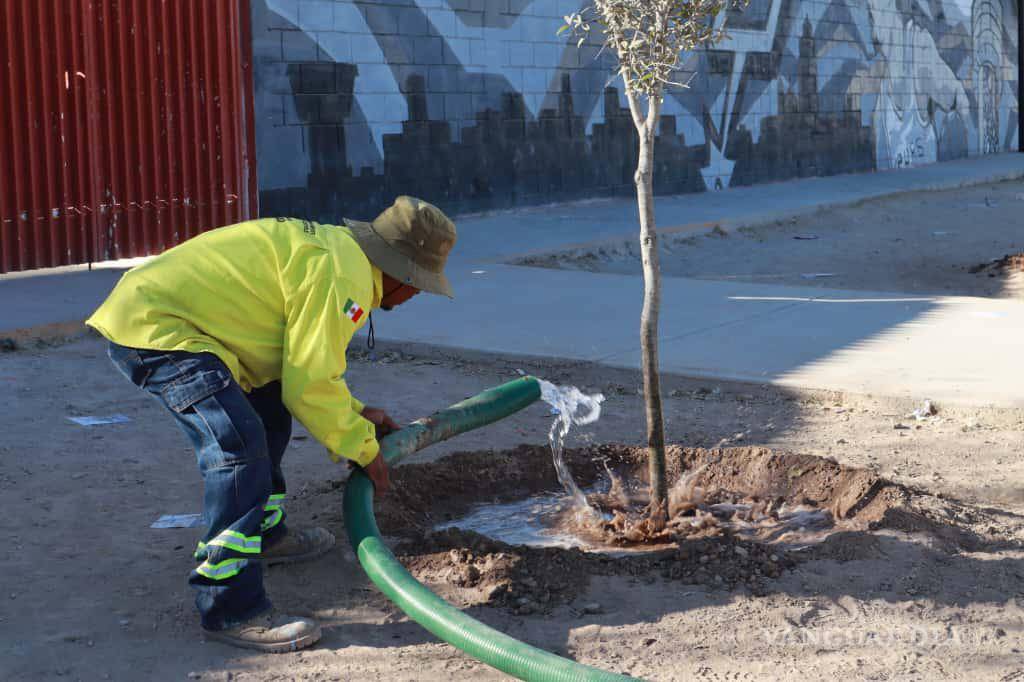 $!Habitantes del oriente de Saltillo reconocieron las labores realizadas en la plaza Mirasierra Spurs, donde se dio mantenimiento al sistema de riego.