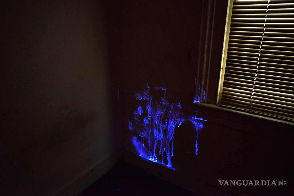 $!Con material de desecho, estudiantes mexicanas crean sustancia útil en pruebas forenses