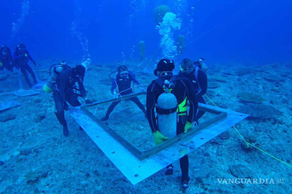 $!Corrientes marinas generan “electricidad azul”