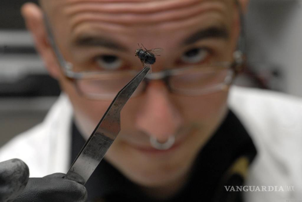 $!¿CSI? No, es entomología forense