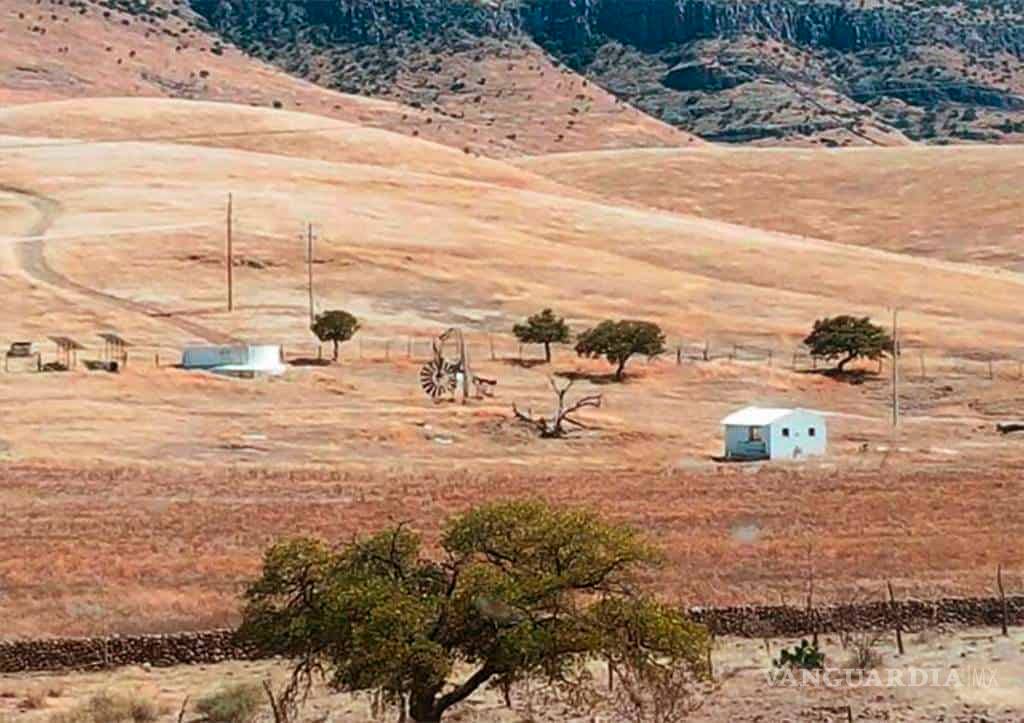 $!Encuentran llamas, bisontes y jabalíes en ranchos incautados a César Duarte