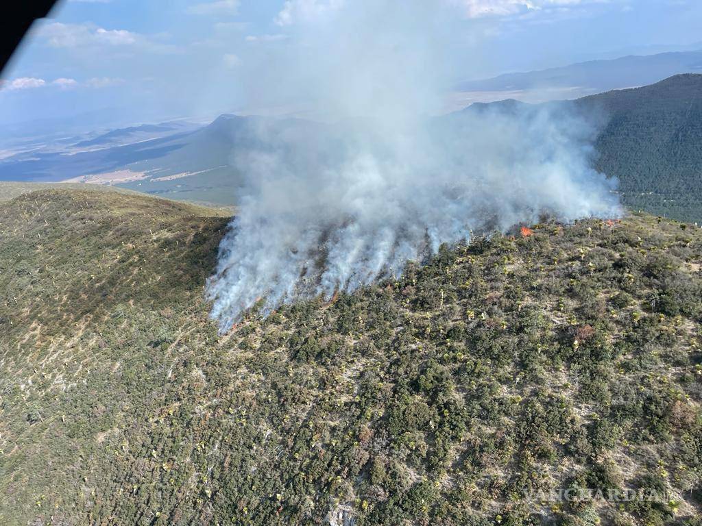 $!Cuerpo brigadista forestal de Arteaga se reunieron en el sitio para comenzar con labores.