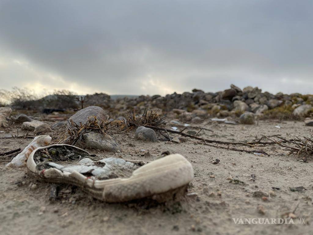 $!En algunos lugares se pueden ver que objetos cotidianos, como un zapato, son devorados por el tiempo. Sin embargo, en otras anécdotas se cuenta de hallazgos relacionados a brujería o grupos delictivos.