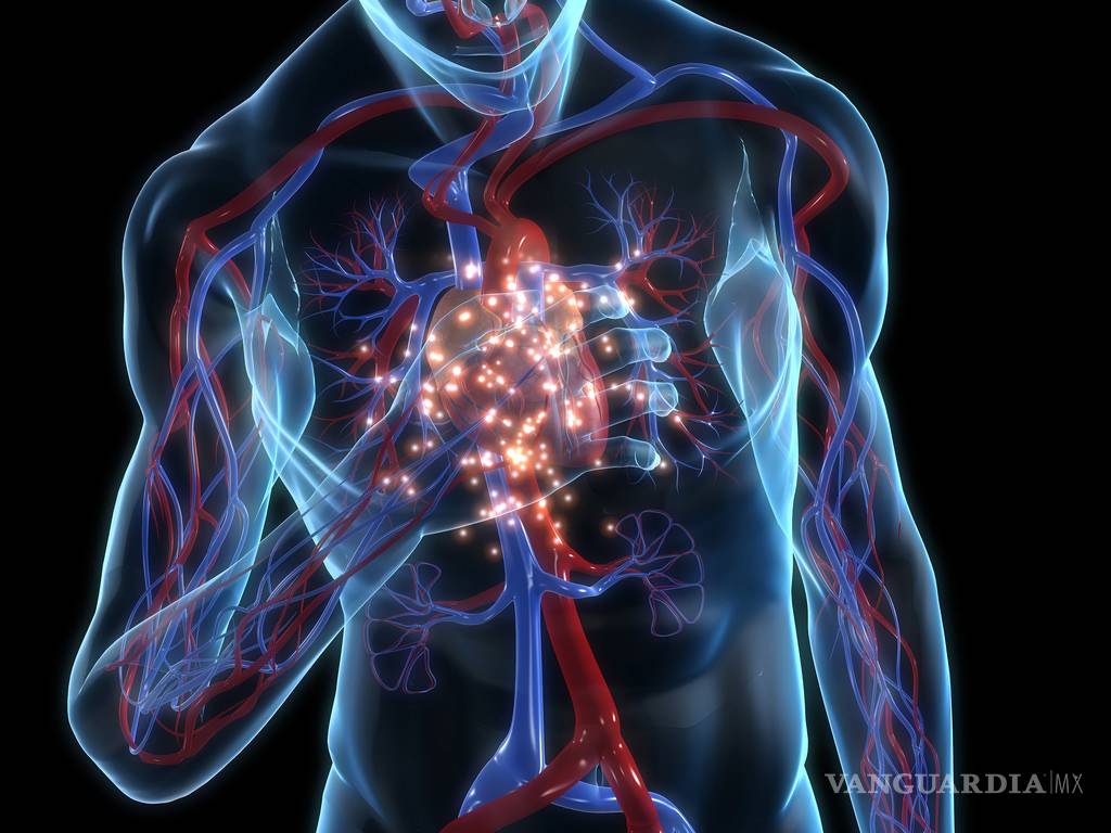 $!El riesgo de infarto y diabetes se mide en la cintura, alerta experto