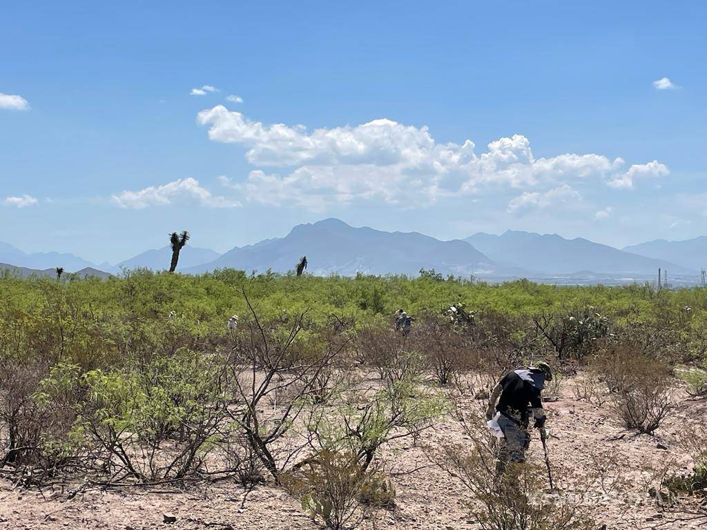 $!El detector de metales es el principal compañero de los y las detectoristas, al momento de buscar tesoros. De forma básica, se acompañan además de talache o pala.