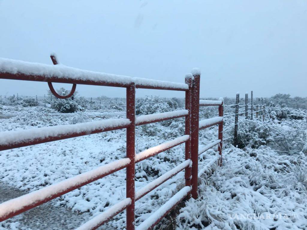 $!Cubre aguanieve en Piedras Negras; piden extremar precauciones