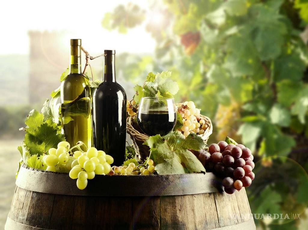 Vinos en Coahuila: bouquet, tradición y economía en una copa