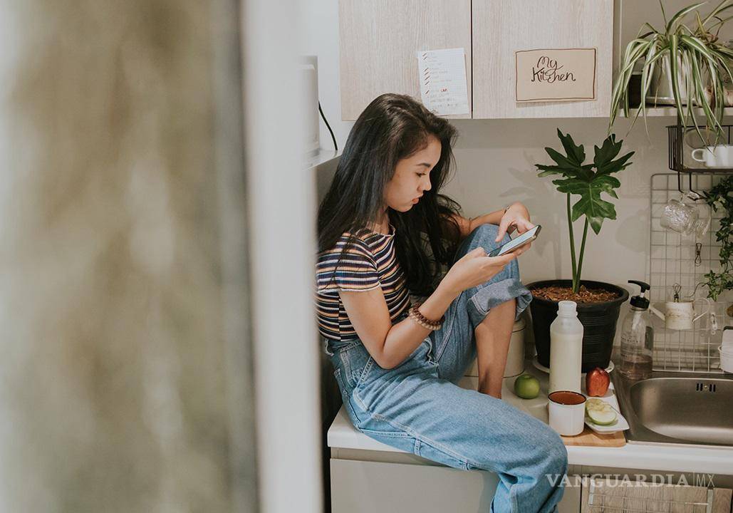 $!El consumo de información y ocio en internet se ha vuelto una parte integral de la vida cotidiana, la mayoría los jóvenes suelen ser las generaciones más conectadas.