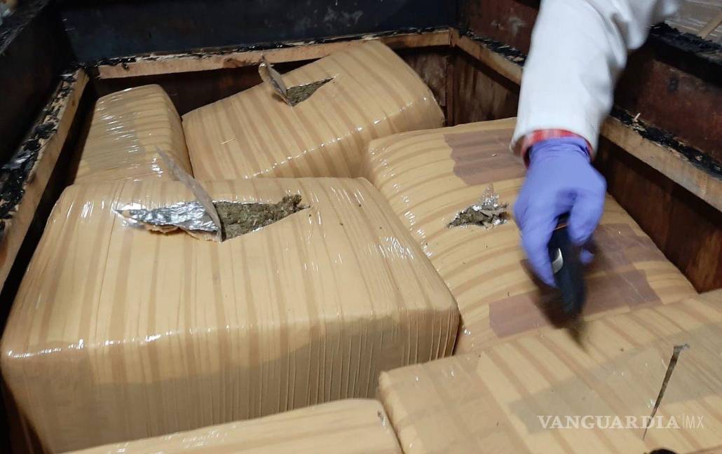 Le dan 8 años de cárcel por transportar marihuana en una empresa de paquetería, en NL