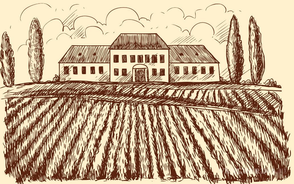 De Parras a tu casa: vinos coahuilenses para disfrutar en honor a la 'Fiesta de la Vendimia'