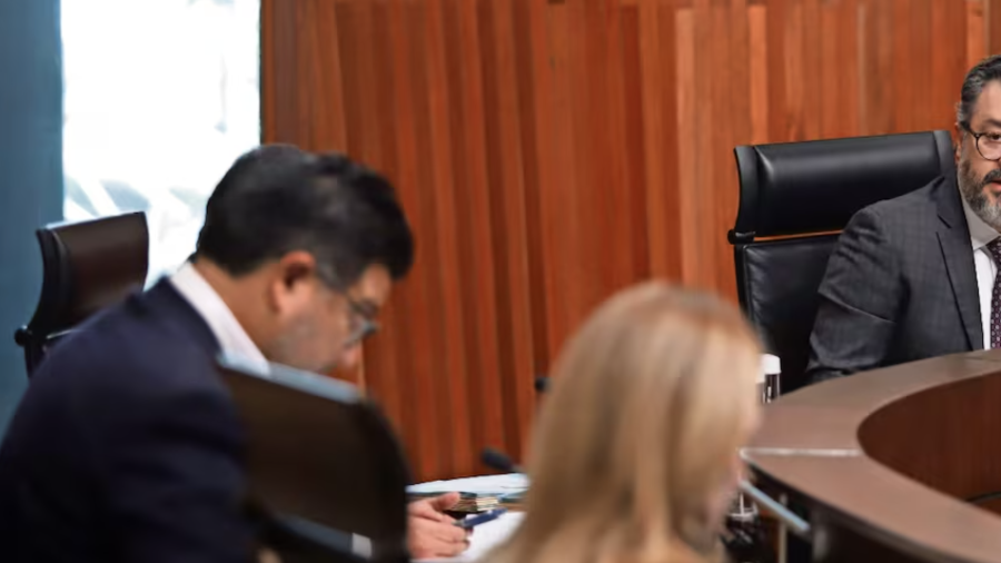 Cualquier apelación quedaría amarrada a la interpretación del Tribunal Electoral, dijo el investigador.