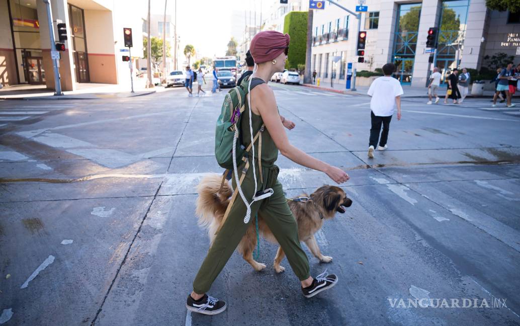 $!El dispositivo portátil que administra la terapia TTFields puede llevarlo el paciente en una bolsa o mochila con comodidad. Foto: Novocure.