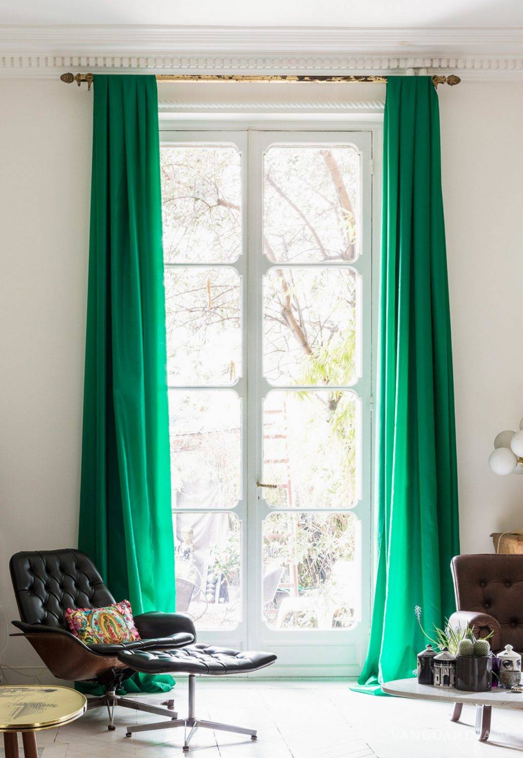 $!¡Adiós al calor! Refresca tu casa con ayuda del verde