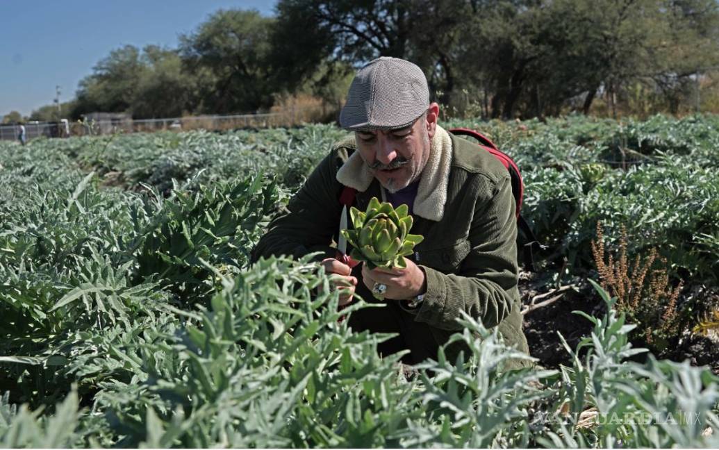 $!Tradición y sabor, Aquiles Chávez reactiva su ‘Aventura Gastronómica’