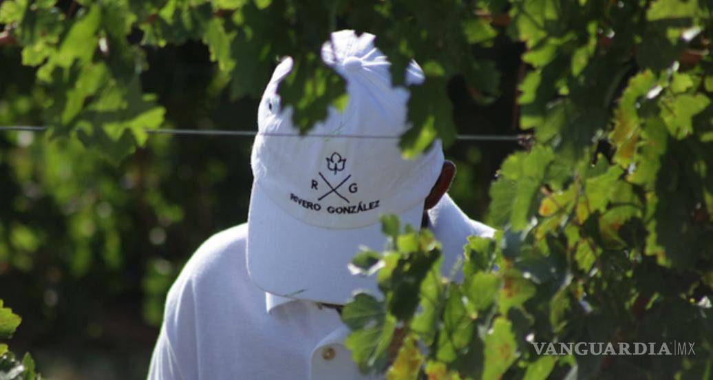 $!Fotos: Bodega Rivero González/Cortesía