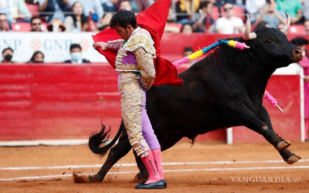 $!El torero mexicano Arturo Macias lidia su primer toro, Pintor de 501 kg, en la ultima Corrida de Feria de Aniversario en la Plaza de Toros. EFE/Mario Guzmán