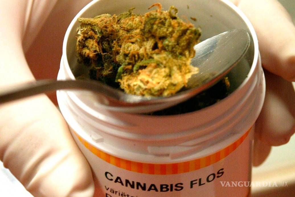 $!Los puntos que aprobó el Senado sobre la mariguana medicinal