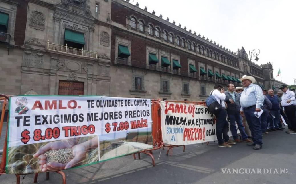 No hay acuerdo en maíz con Gobierno, denuncian productores; hay menos producción, advierten