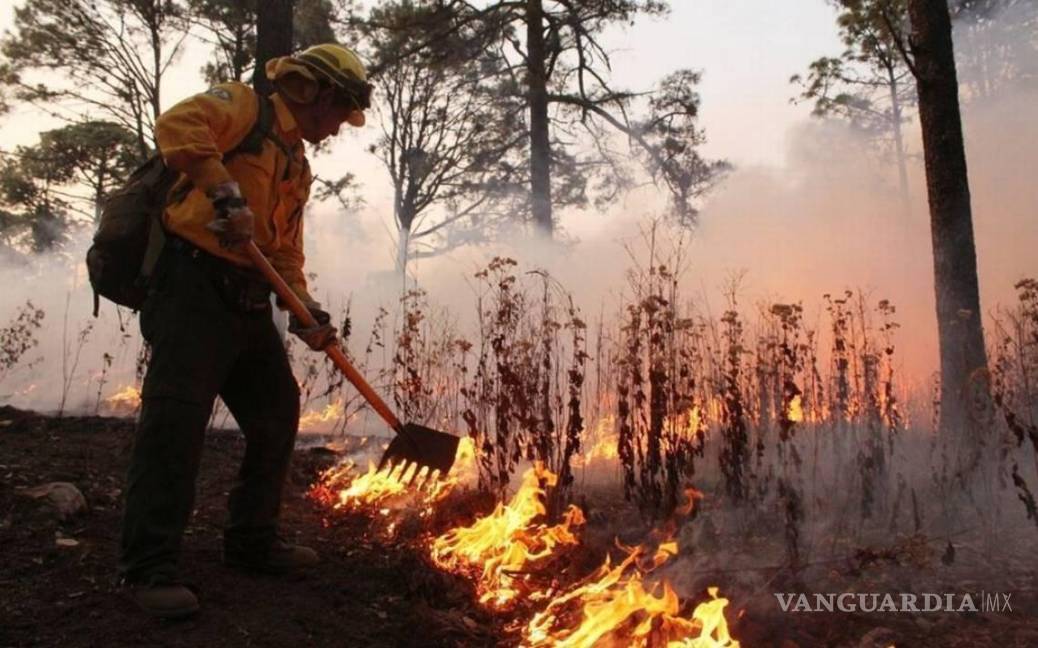 $!La participación ciudadana en la prevención de incendios fue promovida por el gobierno estatal, involucrando a las comunidades cercanas a zonas vulnerables.