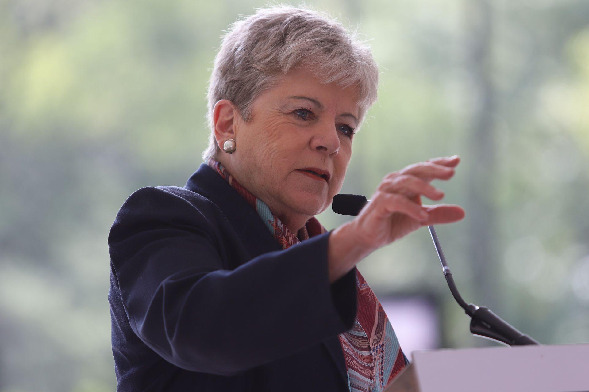 PVEM pide citar a Alicia Bárcena por derrame de hidrocarburos en el Golfo