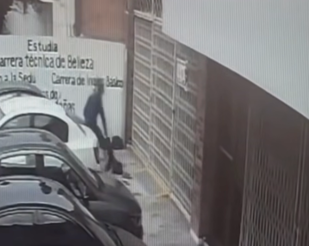 La agresión contra el cachorro quedó registrada en videos de vigilancia de la zona.