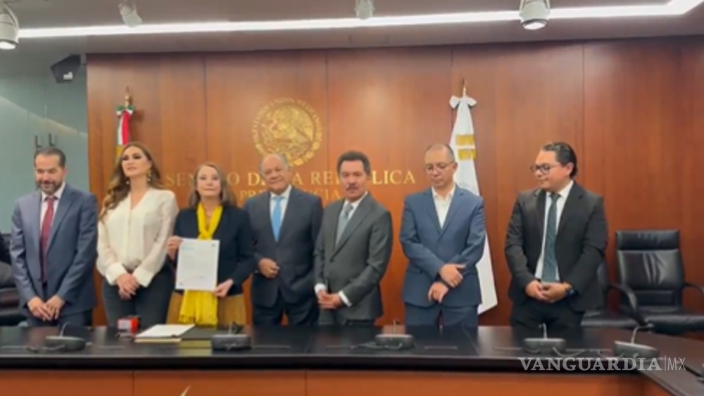 Reciben en el Senado de la República el Plan B de la reforma electoral ...