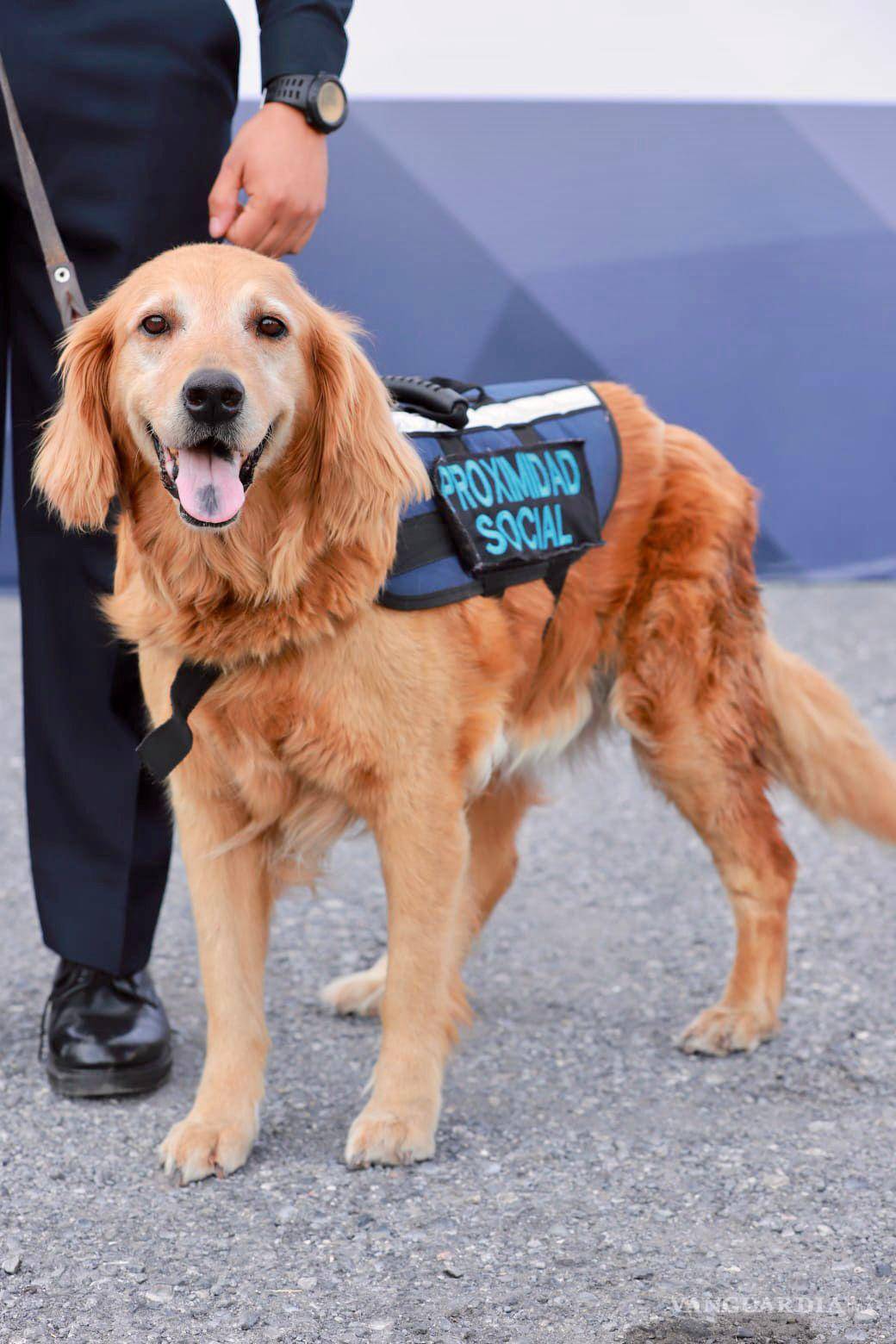 $!“Sky” está en tratamiento a causa del cáncer que le fue detectado; fue adoptada por la familia de su manejador.
