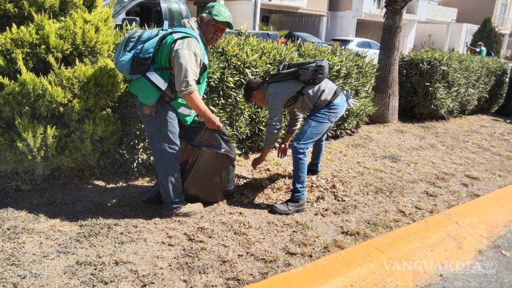 $!Desde las 08:00 horas, cada día los trabajadores de Empleo Temporal salen a embellecer la ciudad.