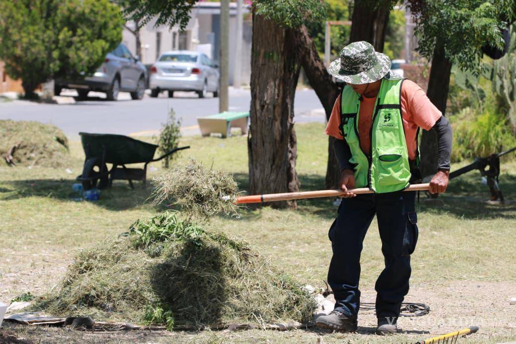 $!Plazas públicas y áreas verdes de varias colonias recibieron trabajos de limpieza, deshierbe y mantenimiento para beneficio de las familias.