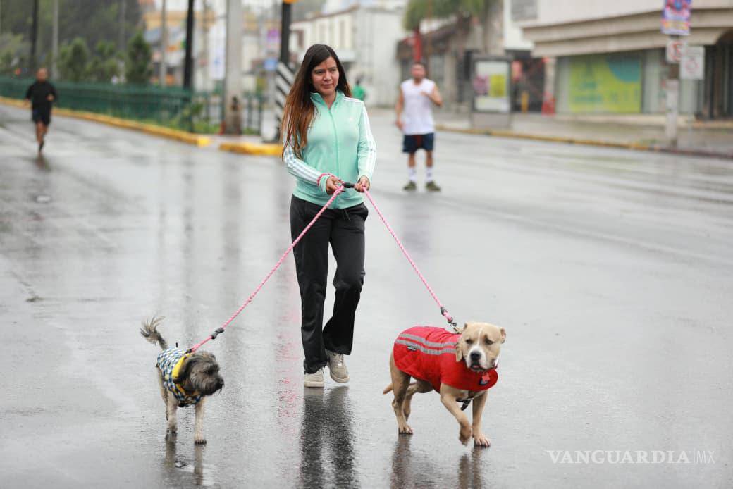 $!La Dirección de Salud Pública ofreció consultas, detecciones y servicios gratuitos para mascotas.