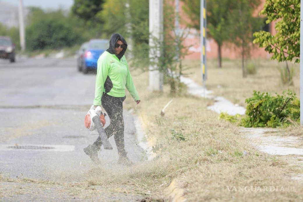 $!Trabajadores realiza labores de deshierbe y limpieza en las áreas verdes y camellones de la colonia Jardines de los Bosques.