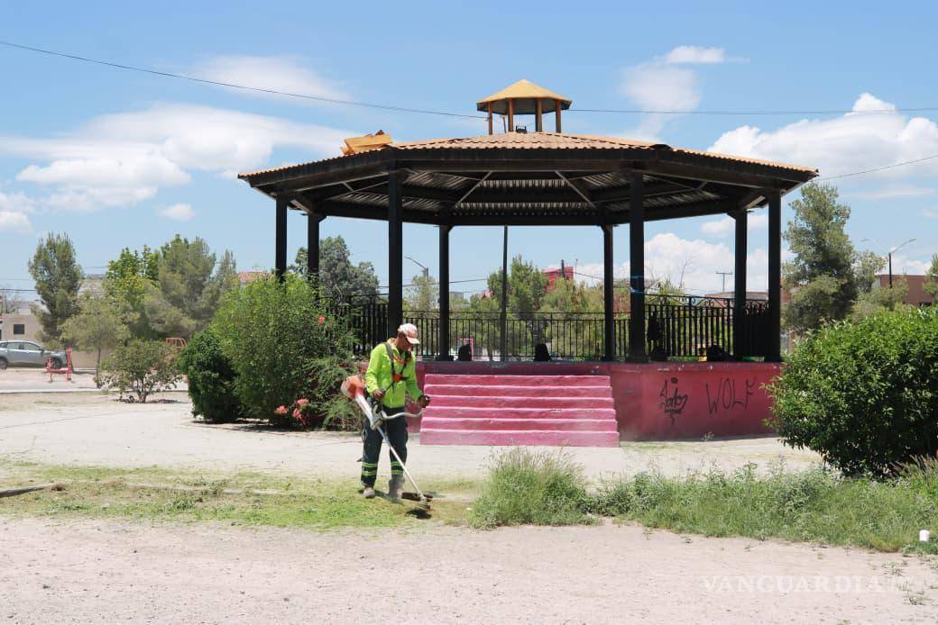 $!La Plaza La Democracia y la plaza de Jardines Coloniales recibieron trabajos de limpieza, poda y deshierbe.