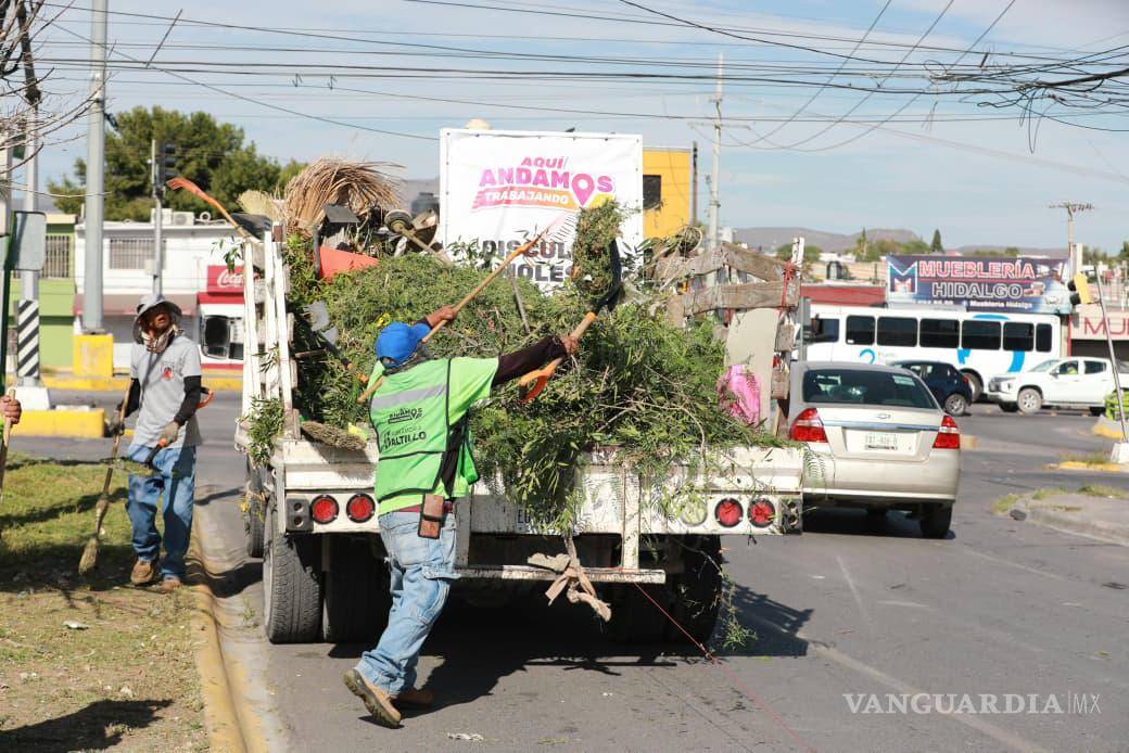 $!También se realizaron trabajos de poda y mantenimiento general de las áreas verdes.