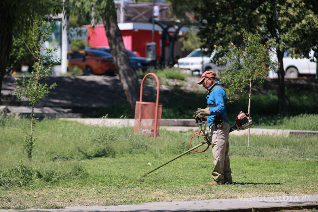 $!Las acciones incluyeron limpieza, poda y mantenimiento en plazas y áreas verdes de distintos sectores de Saltillo.