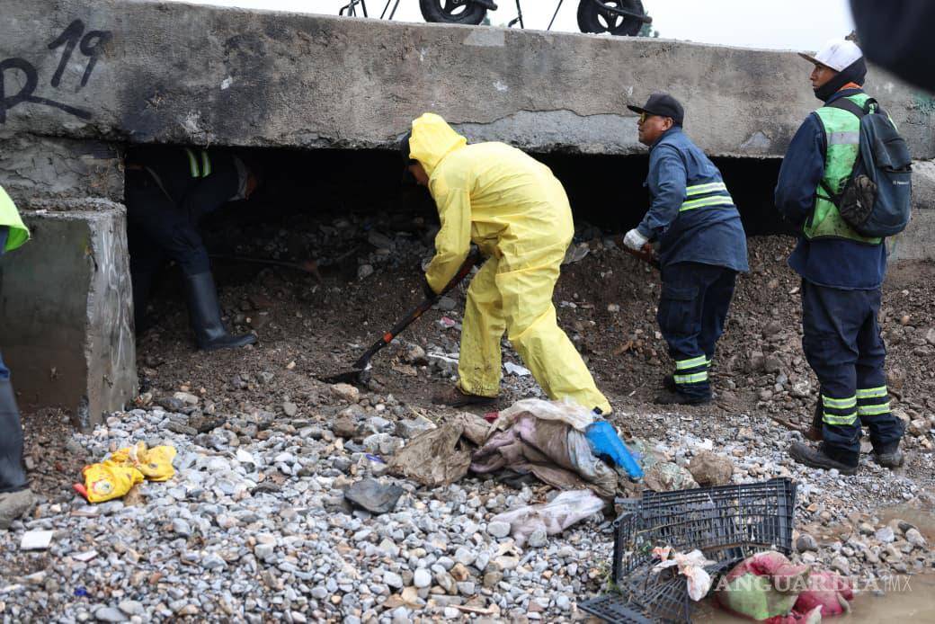 $!Atienden arroyos Pericos y El Morillo para prevenir inundaciones