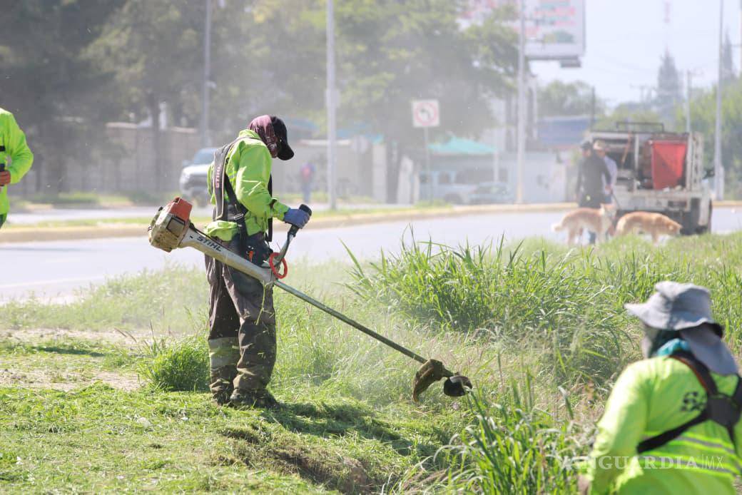 $!La carretera Los Valdez fue intervenida con labores de limpieza y deshierbe en camellones y laterales.