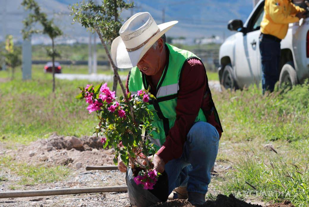 $!La siembra de plantas polinizadoras forma parte de las acciones para mejorar el entorno urbano y la calidad del aire en la capital.