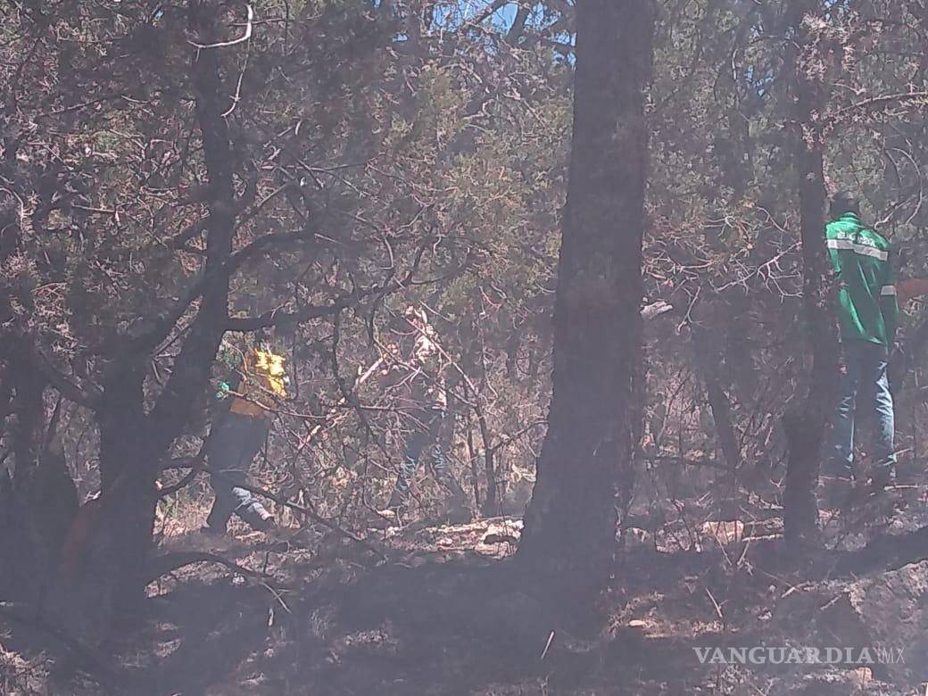 $!Incendio consume 100 hectáreas de pastizal en El Tunal, en Arteaga; logran controlarlo
