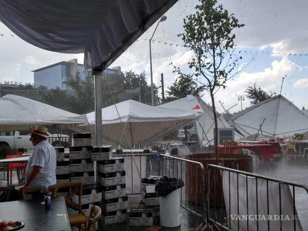 $!Tromba causa caos en norte de Saltillo; caen árboles y panorámicos