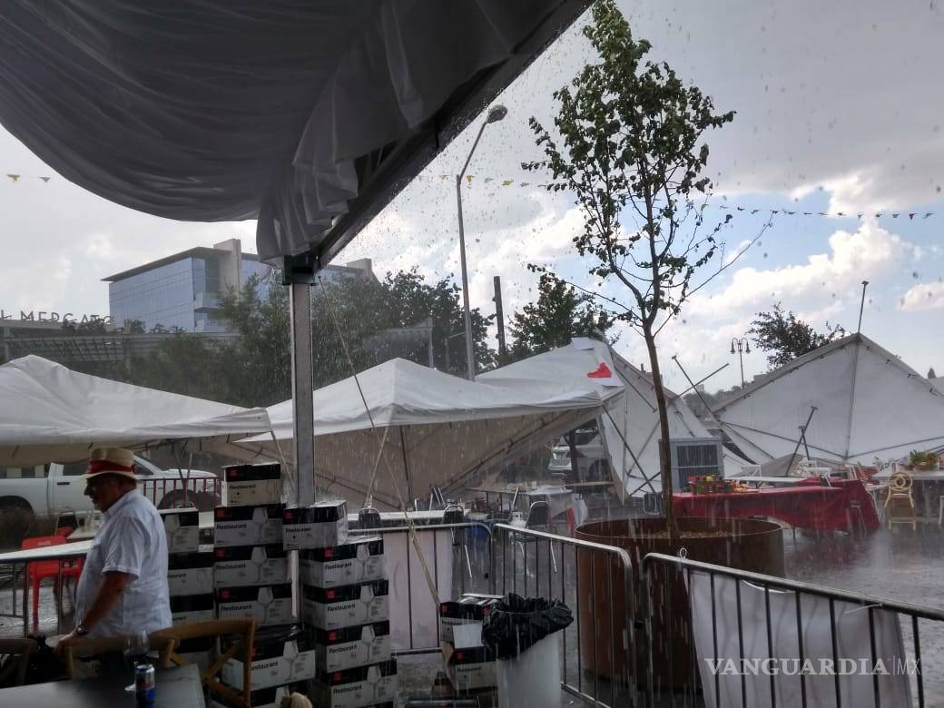 $!Tromba causa caos en norte de Saltillo; caen árboles y panorámicos