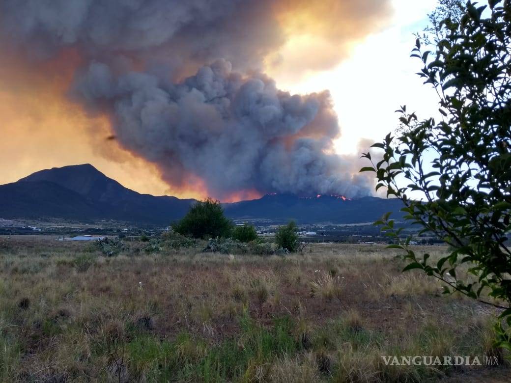 $!Corto circuito, posible causa del fuerte incendio en La Carbonera, Arteaga