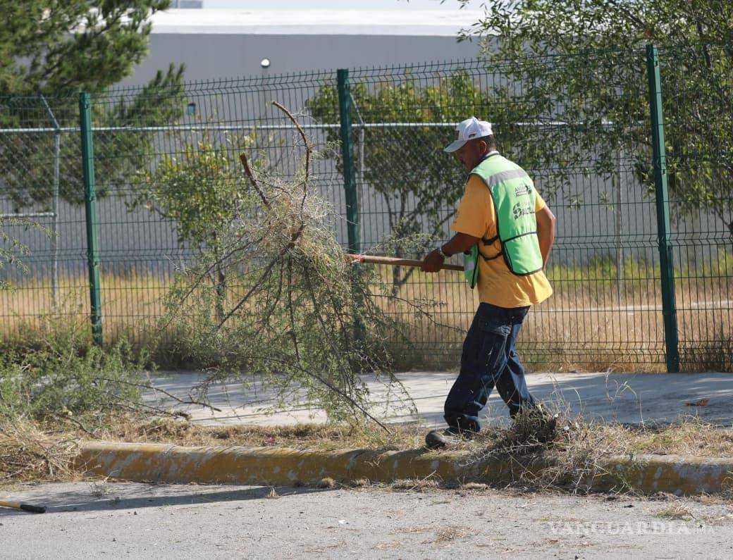 $!En ese tramo se efectuaron trabajos de limpieza general, deshierbe, poda y desazolve.