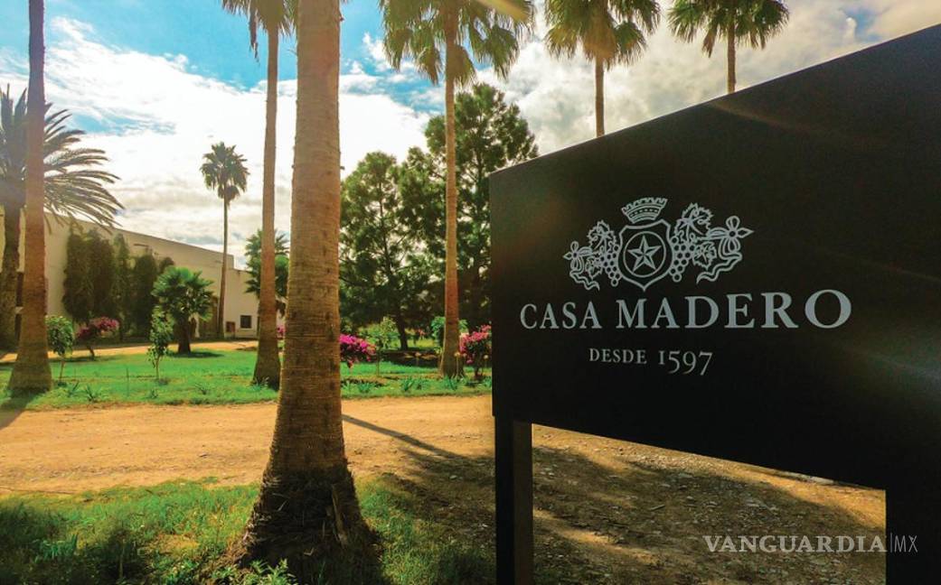 Celebra Casa Madero 425 años ‘cosechando’ historias desde Parras, Coahuila