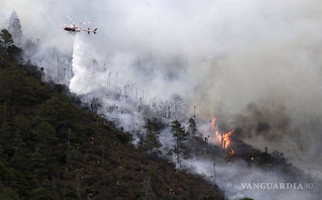 $!Acciones de combate de incendio a La Pinalosa en 2021.