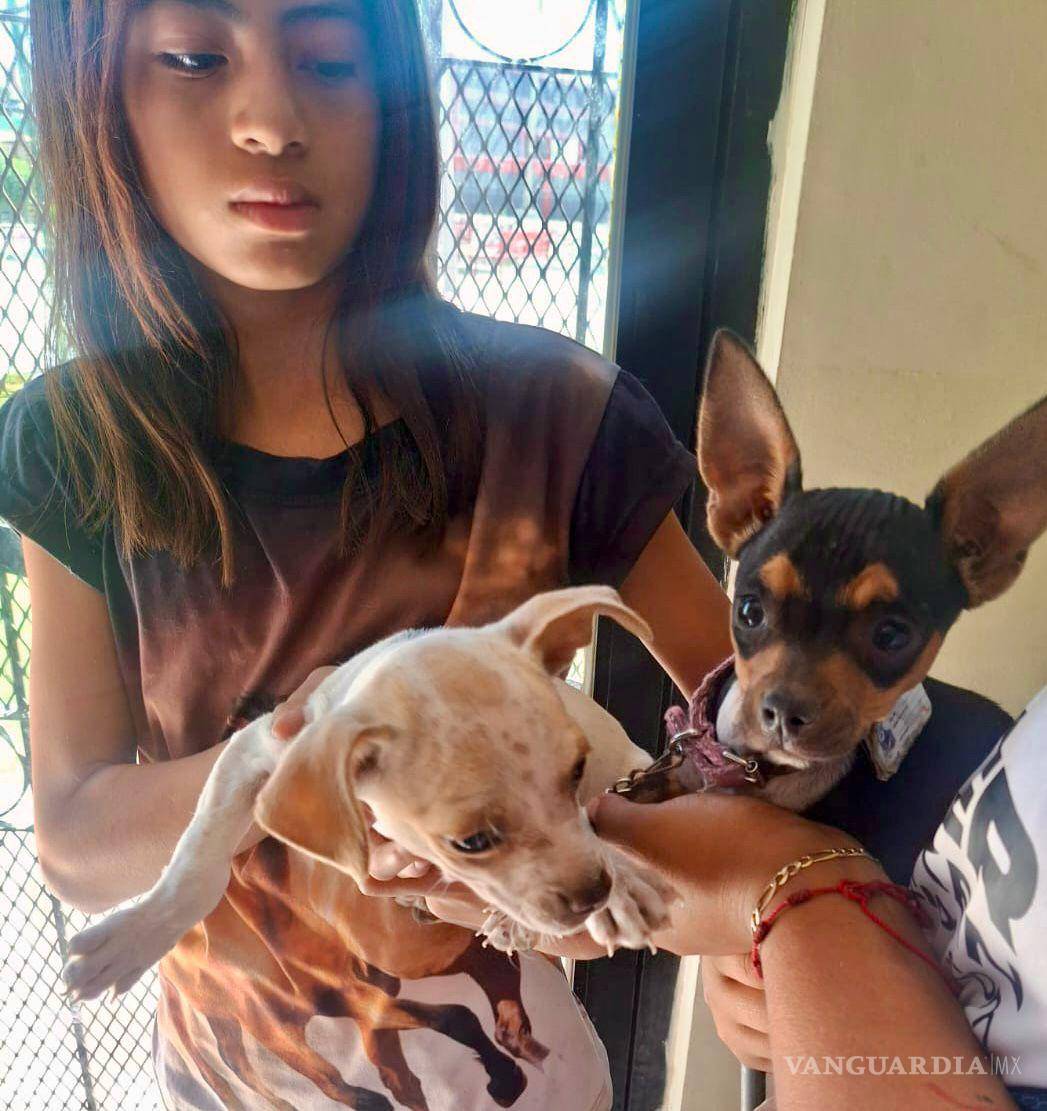 $!DIF Ramos Arizpe realizó jornada de atención veterinaria en sus instalaciones.