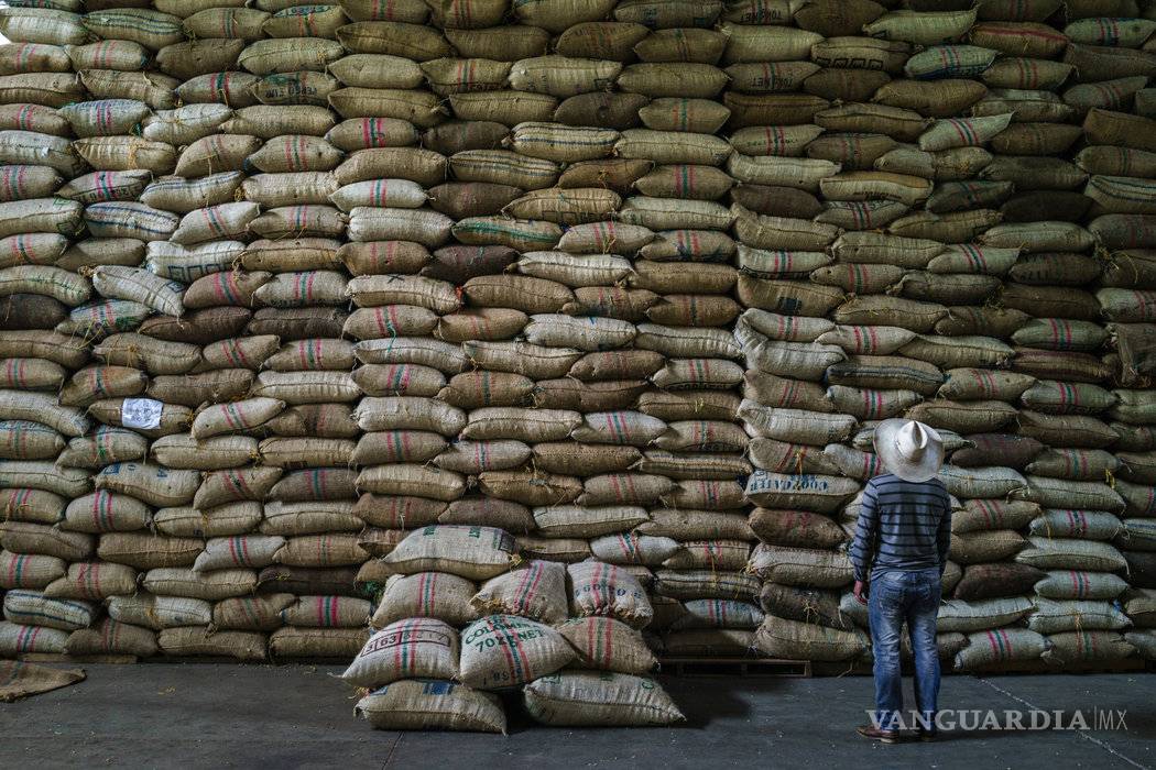 $!Una travesía por las montañas de Colombia en busca de un café casi perfecto