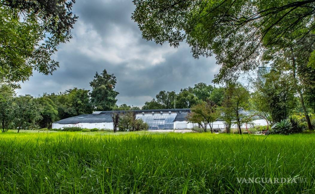 Fideicomiso y Agustín Coppel financiarán diseño de Pabellón de Renzo Piano en Chapultepec