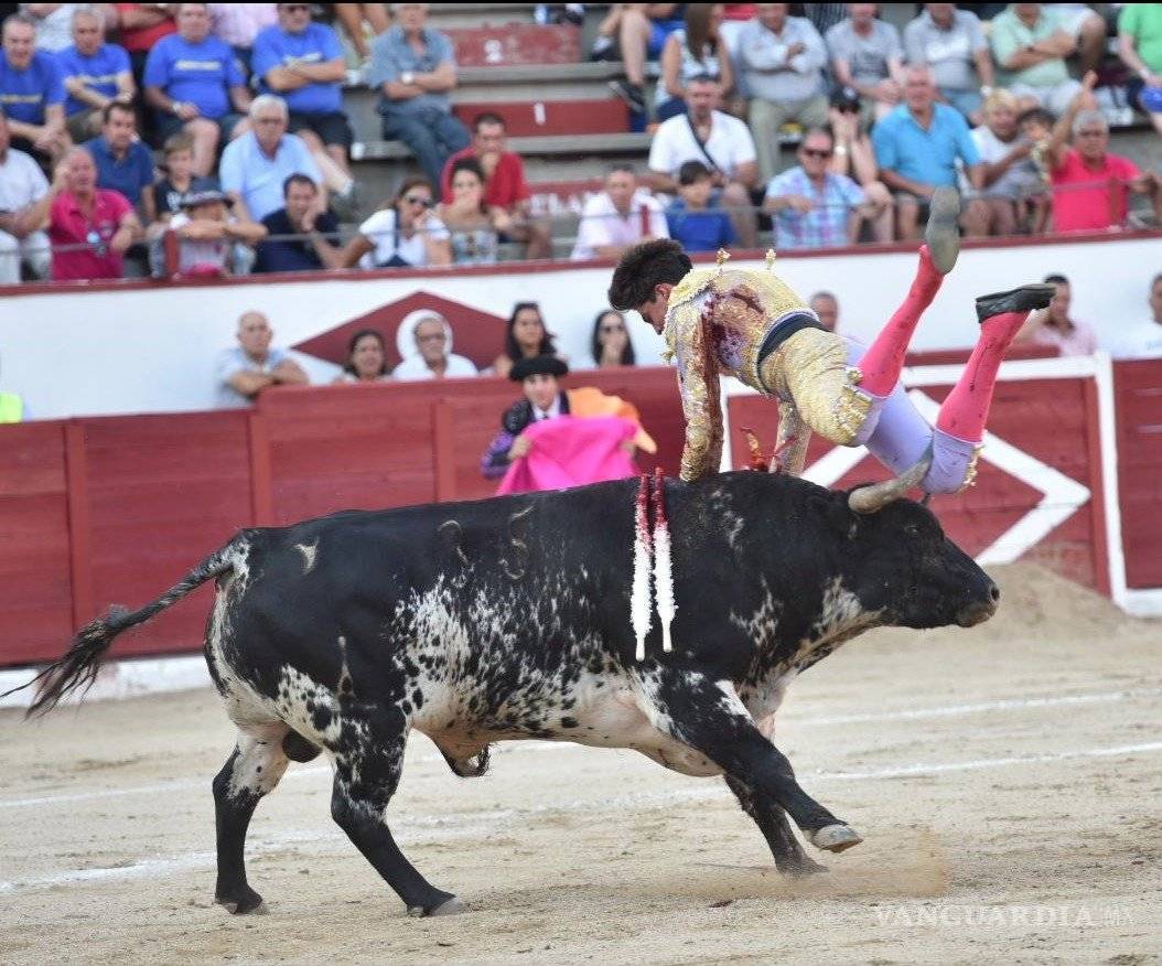 $!Torero español sufre cornada en la zona genital