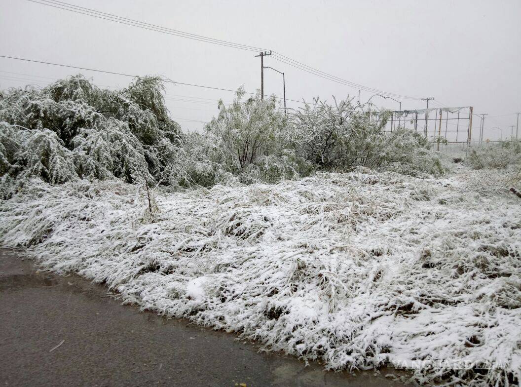$!Cubre aguanieve en Piedras Negras; piden extremar precauciones