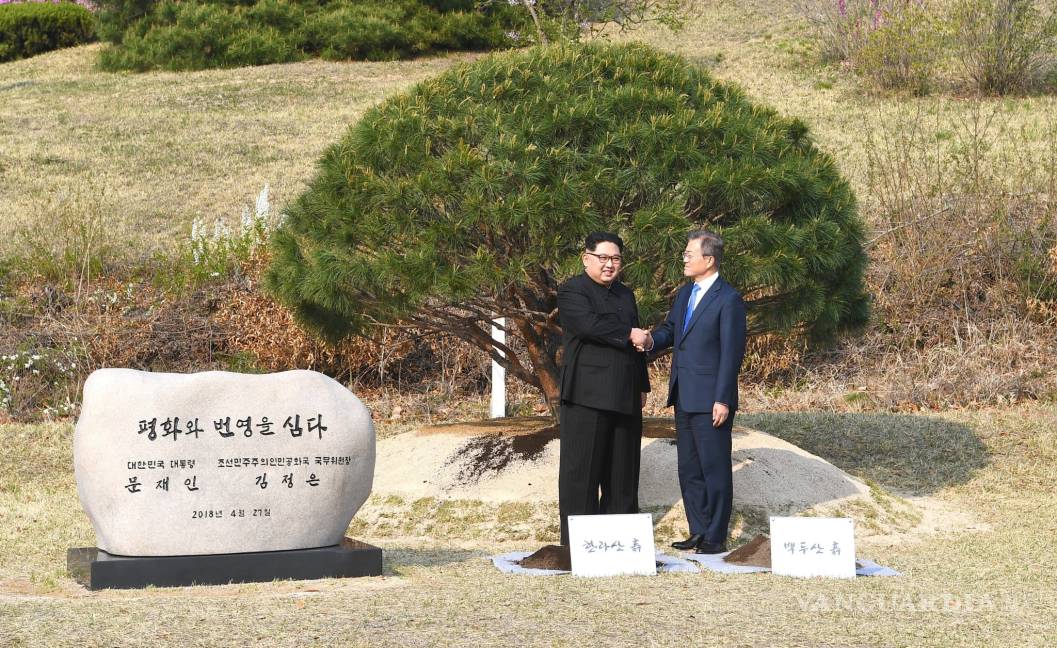 $!Kim Jong-un y Moon Jae-in plantan un árbol en una simbólica ceremonia
